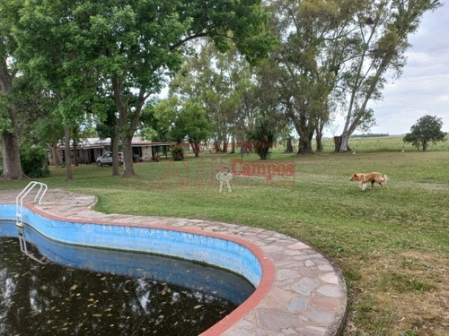 Imagen 8 de 30 de Venta De Campo De 21 Has Entre Jeppener Y Ranchos