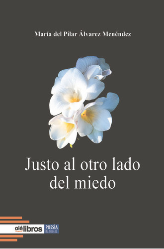 Justo Al Otro Lado Del Miedo ( Libro Original )