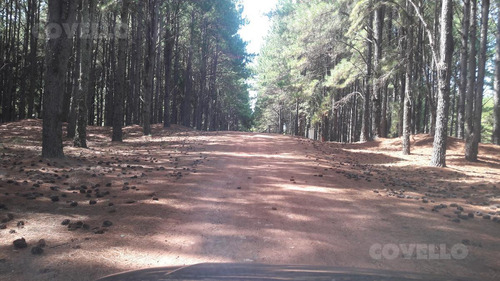 Terreno, Barrio Privado, Seguridad, Playa, Puerto