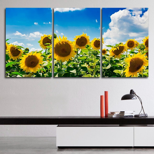 Cuadros Tripticos Flores Girasoles (120x60cm)