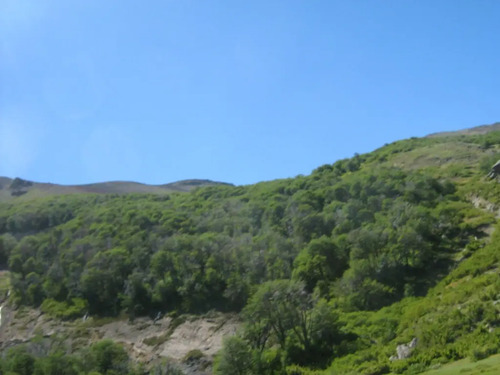 Fundo De 5.056 Hectáreas En Región Del Biobío