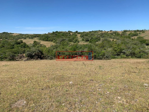 Imagen 22 de 30 de Venta Campo Ubicado En Garzón