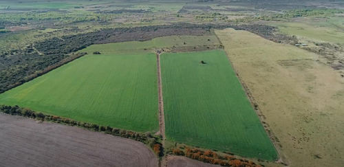 Campo - Costa Del Uruguay