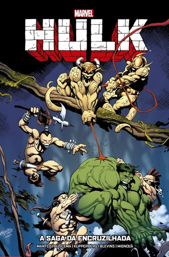 Hulk: A Saga da Encruzilhada: Marvel Vintage, de Mantlo, Bill. Editora Panini Brasil LTDA, capa dura em português, 2021