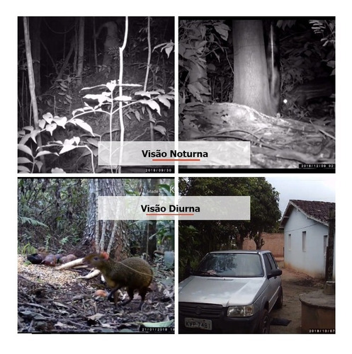 Câmera De Trilha Visão Noturna, Observação De Animais !