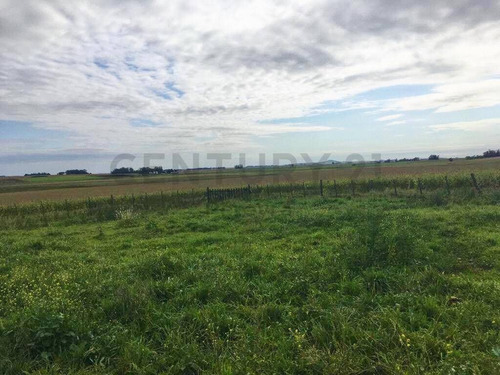 Imagen 5 de 9 de 66 Hectareas Agricolas -ganaderas, En Venta, Balcarce