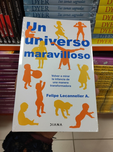 Libro Un Universo Maravilloso - Felipe Lecannelier