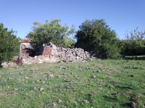 Campo De 110 Hectáreas, Con Arroyo, Buen Acceso