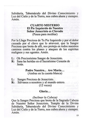 Imagen 4 de 6 de Kit Rosario Y Libro Coronilla A La Sangre De Cristo