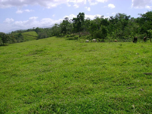 Imagen 3 de 14 de Venta De Hermosa Finca