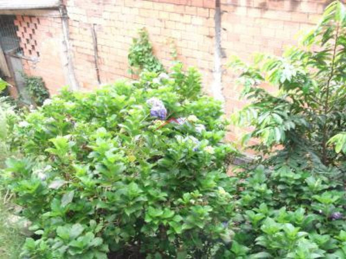 Imagem 15 de 16 de Casa Para Venda - Imperdível - Cidade Julia - Id 301 - 301