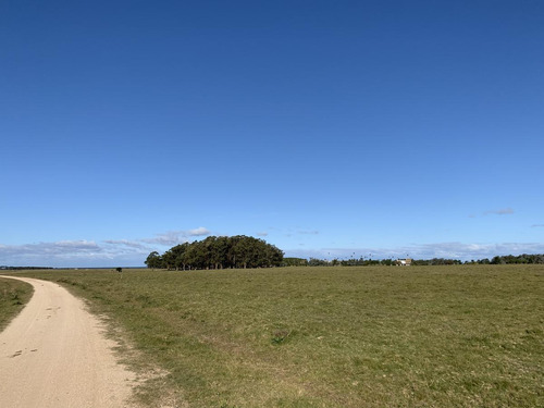 Terreno - José Ignacio