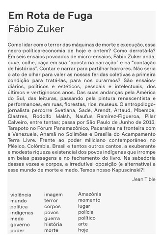 Em rota de fuga: Ensaios sobre escrita, medo e violência, de Zuker, Fábio. Instituto da Evolução Individual Solaris LTDA ME,Editora Hedra LTDA, capa mole em português, 2020