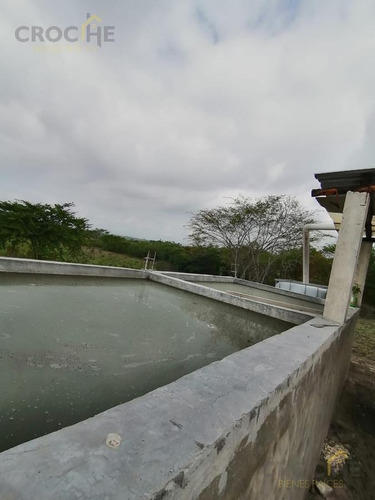 Imagen 8 de 8 de Terreno De 1.8 Hectáreas Con Producción De Limón En Tuzamapan, Coatepec, Veracruz