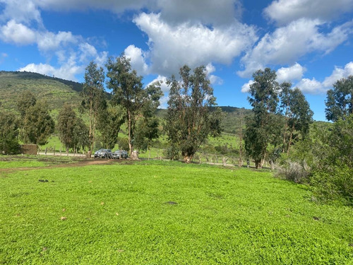 Terrenos De 20.000mts2 A 10 Km De Maitencillo