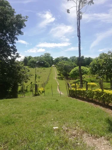 Finca Ganadera Con Nacimiento De Agua Propio