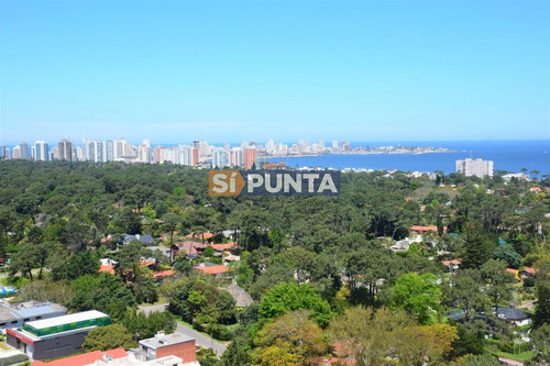 Imagen 3 de 30 de Pent House , 3 Dormitorios A Nuevo ! Con Servicios!