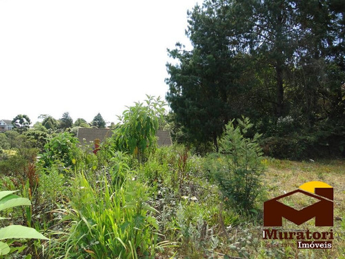 Imagem 15 de 15 de Lote À Venda - 2079