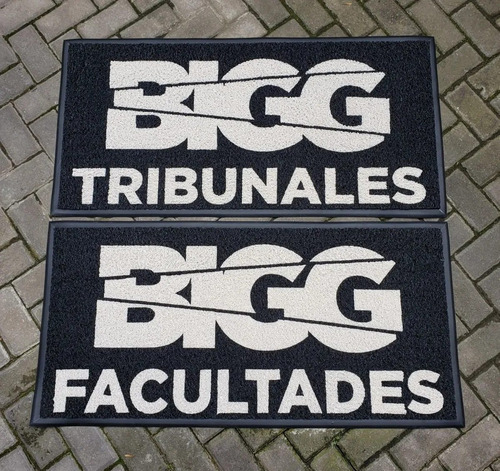 Imagen 2 de 10 de Alfombra Tapete Felpudo Sanitizante Mi.alfombra