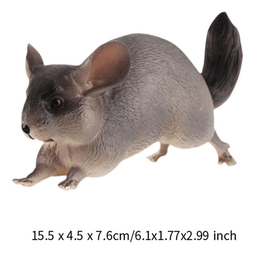 Realista Detallada Figura De Acción Pvc Modelo Chinchilla