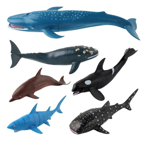 Nuevo Modelo De Aprendizaje De Animales Marinos: Tiburón