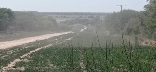 Imagen 5 de 15 de Terreno Campo En Venta Ubicado En La Maruja, Rancul