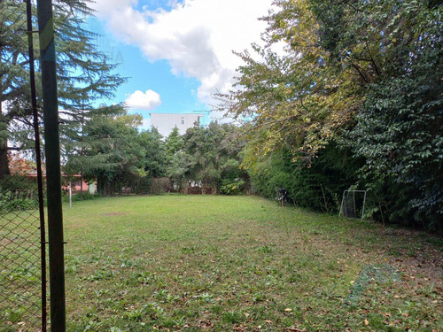 Vmaffia Vende Gran Terreno De 5000m, Ideal Emprendimiento. Calle Saravi A Mtrs De Panamericana.