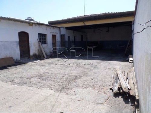 Terreno Para Aluguel, Vila Floresta - Santo André/sp - 624