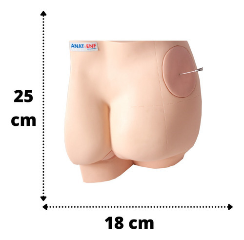 Modelo glúteo: simulador de sonda rectal e inyección intramuscular