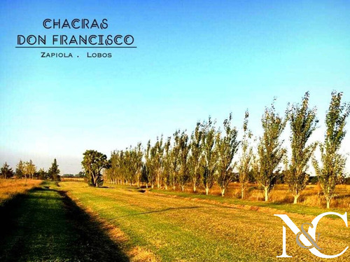 Lote En Venta En Chacras Don Francisco