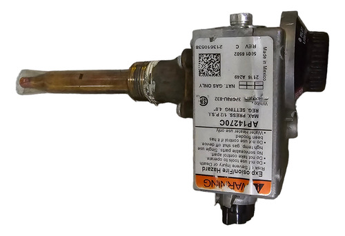 Control Rheem Gas Natural (Reacondicionado)
