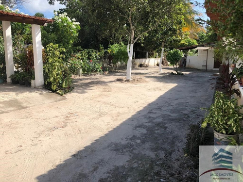 Imagem 4 de 16 de Granja A Venda Em Macaíba