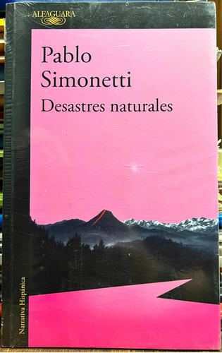 Desastres Naturales - Pablo Simonetti