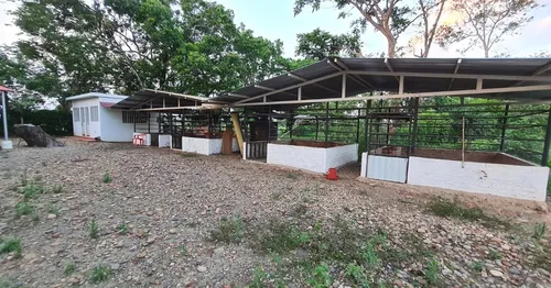 ¡finca De Ensueño! 6 Cabañas, Piscina, Cancha De Pasto Sintético Y Acceso Al Río. ¡no Te Pierdas Esta Oportunidad!