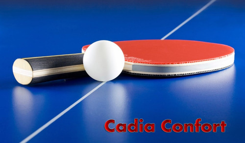 Mesa De Ping Pong Profesional Plegable Con Ruedas Y Red
