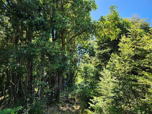 Imagen 4 de 12 de Campito En Venta En Puerto Varas