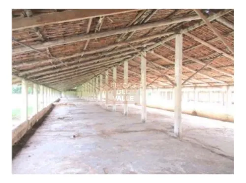 Buga, 23.200 M2, Se Vende Finca Avícola