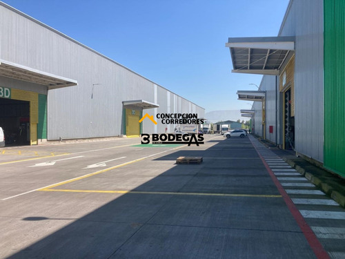 Arriendo Bodega De 1616 M2 En Pi Lo Boza.