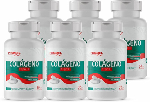 Kit Com 6 - Colágeno Tipo Ii E Magnésio 30 Cápsulas Promel