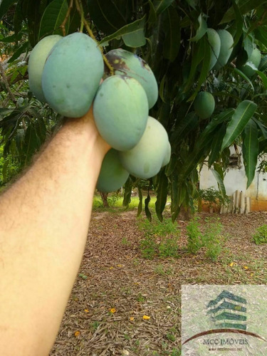 Imagem 9 de 16 de Granja A Venda Massaranduba