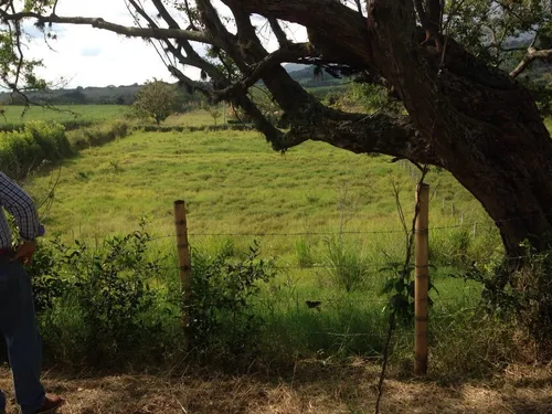 Lote Vía Tablones Palmira Valle
