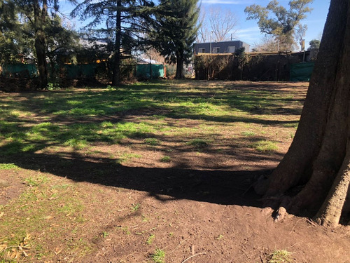 Venta Quinta Con Pileta Gral Rodriguez