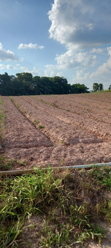 Imagem 10 de 21 de 03o- Inacreditável Terreno Em Uma Cidade Boa Pra Você