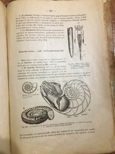 Libro Antiguo Elementos De Zoología, P. Félix Jaffuel (1921) (Usado)