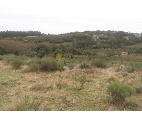 Campo 10 Has En Garzon - Consulte!!!!!!!- Ref: 2109