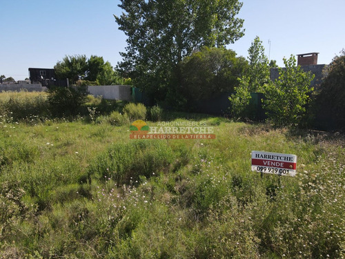 Imagen 7 de 8 de Terreno En Venta Colinas Del Mirador, Las Piedras