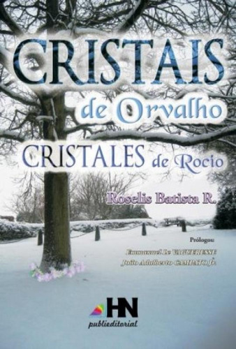 Cristais De Orvalho Cristales De Rocio, De Roselis Batista,. Editora Hn Digital, Capa Mole Em Português