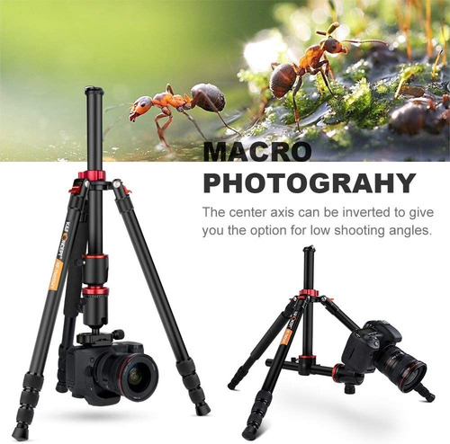 Trípode K&f Concept, Para Cámara Dslr, Profesional