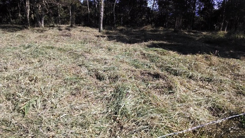 Imagem 3 de 7 de Lote Com Vista Privilegiada - St-411