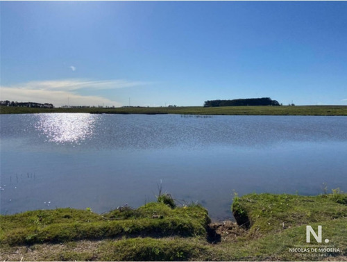 Gran Campo En Maldonado 